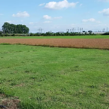 Couette-café Ai Prati Lesignana